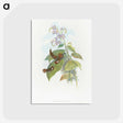 2-3_John-Gould_postcard