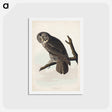 アートポストカード-Great Cinereous Owl
 - ジョン ジェームス オーデュボン Postcard.