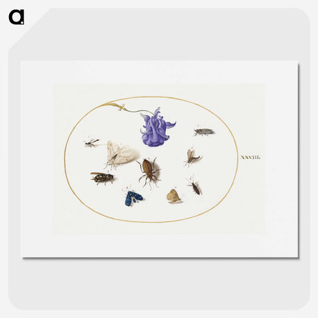 2-3_Joris-Hoefnagel_picture