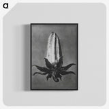2-3_Karl-Blossfeldt_blk-crop
