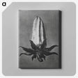 2-3_Karl-Blossfeldt_canvas
