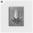 2-3_Karl-Blossfeldt_memo