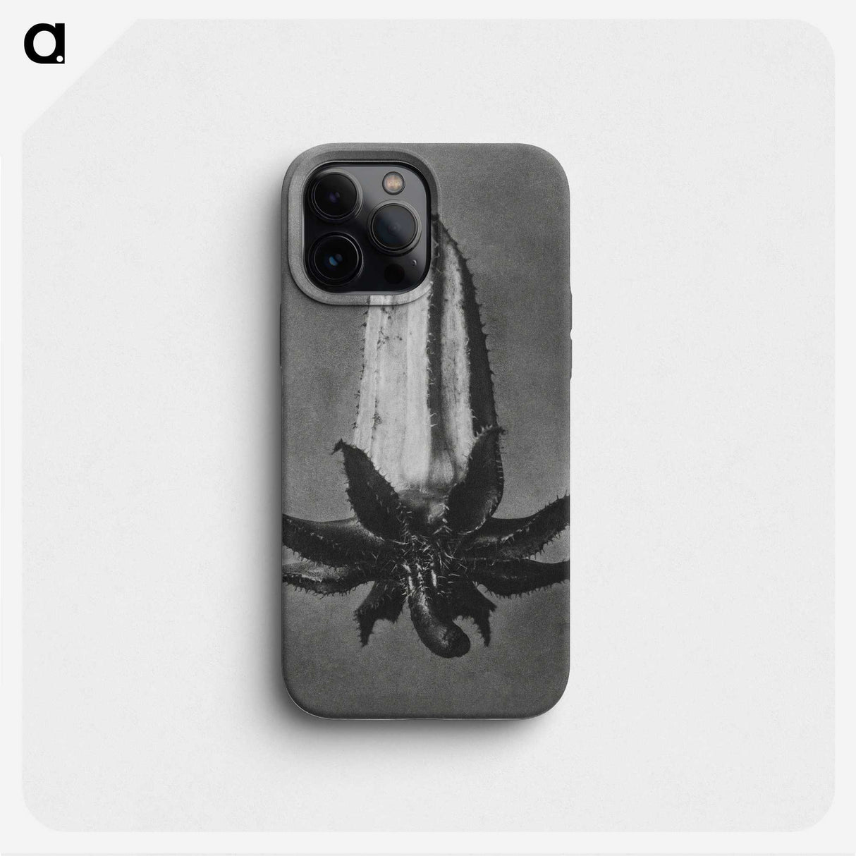 2-3_Karl-Blossfeldt_phone