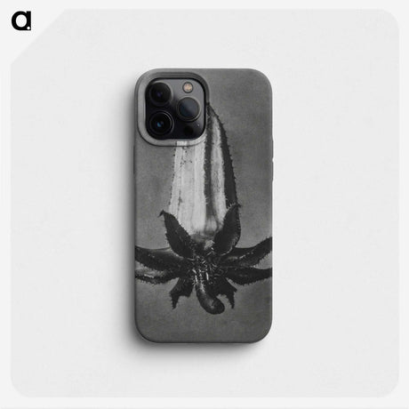 2-3_Karl-Blossfeldt_phone