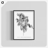 2-3_Les-Palmiers-Histoire-Iconographique_blk-crop