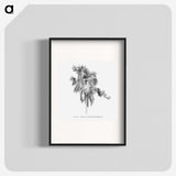 2-3_Les-Palmiers-Histoire-Iconographique_blk