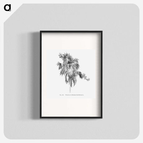 2-3_Les-Palmiers-Histoire-Iconographique_blk