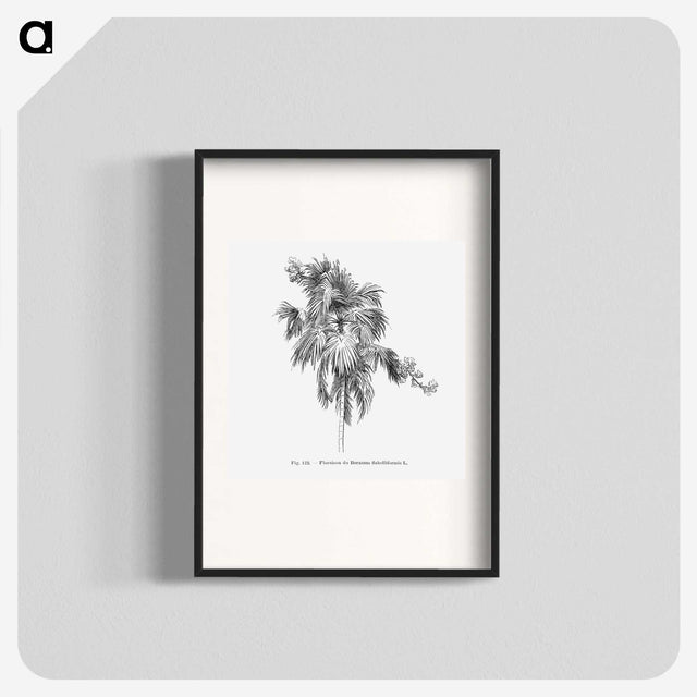 2-3_Les-Palmiers-Histoire-Iconographique_blk