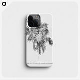 2-3_Les-Palmiers-Histoire-Iconographique_phone