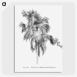 2-3_Les-Palmiers-Histoire-Iconographique_picture-crop