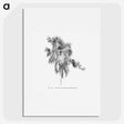 2-3_Les-Palmiers-Histoire-Iconographique_picture