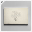 2-3_Luigi-Balugani_canvas