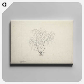 2-3_Luigi-Balugani_canvas