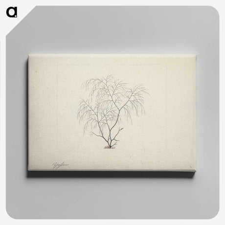 2-3_Luigi-Balugani_canvas