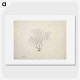 2-3_Luigi-Balugani_picture