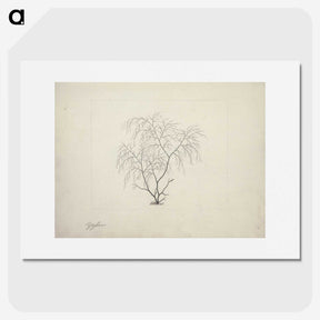 2-3_Luigi-Balugani_picture