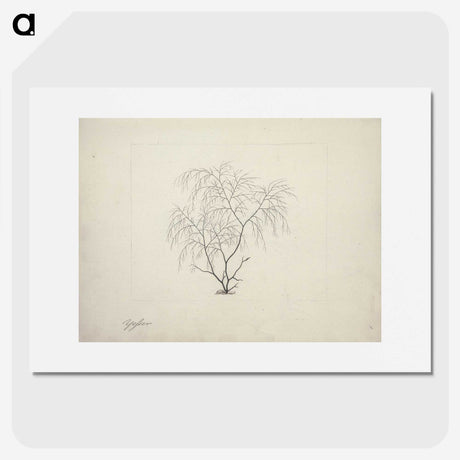 2-3_Luigi-Balugani_picture