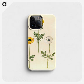 2-3_Maria-Sibylla-Merian_phone