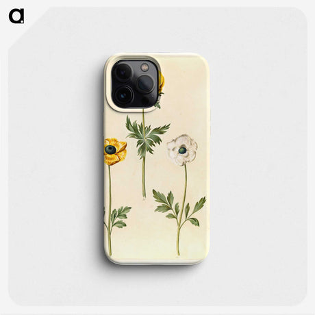2-3_Maria-Sibylla-Merian_phone