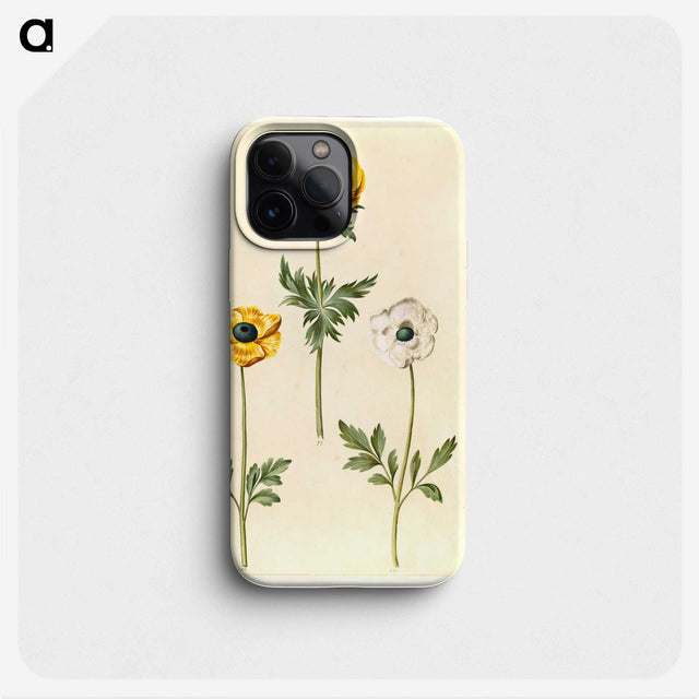 2-3_Maria-Sibylla-Merian_phone