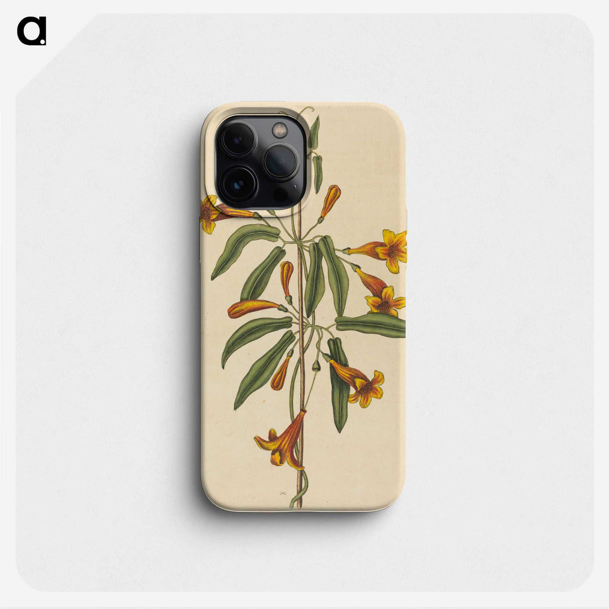 2-3_Mark-Catesby_phone