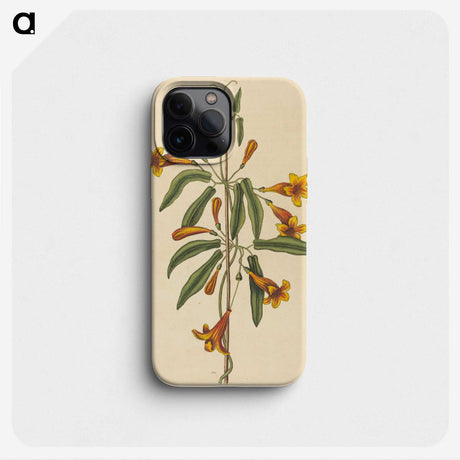 2-3_Mark-Catesby_phone