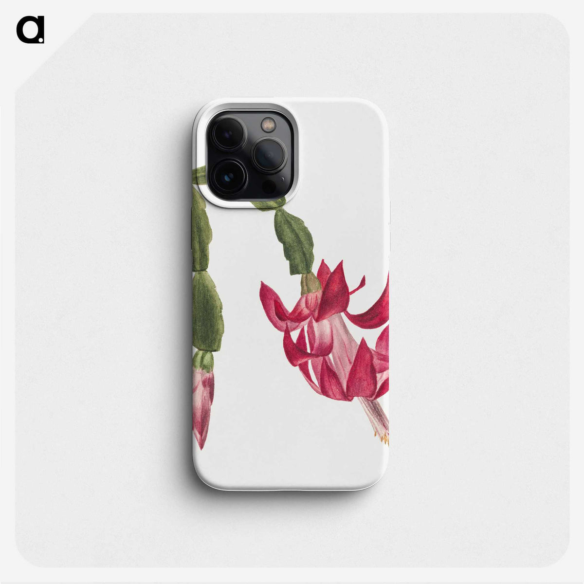 2-3_Mary-Vaux-Walcott_phone