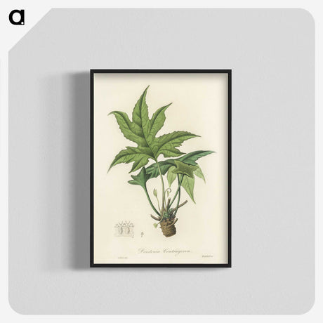 2-3_Medical-Botany_blk-crop