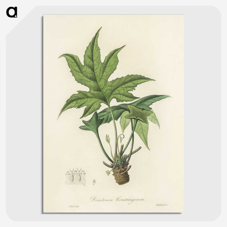 2-3_Medical-Botany_picture-crop