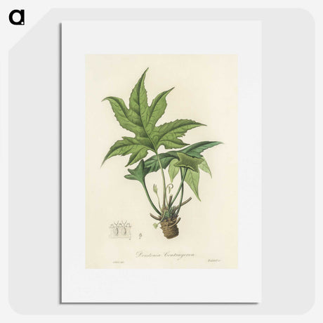 2-3_Medical-Botany_picture