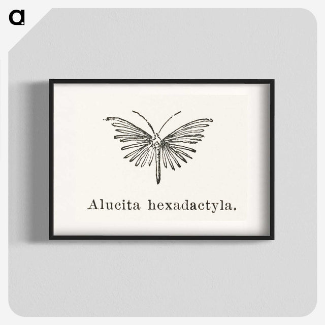 2-3_Moths-and-Butterflies-of-the-United-States_blk