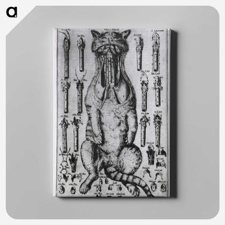 2-3_National-Library-of-Medicine_canvas