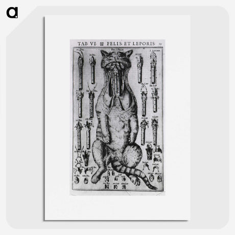 2-3_National-Library-of-Medicine_picture