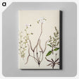 2-3_Native-Flowering-Plants-of-New-Zealand_canvas