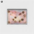 2-3_Paul-Klee_memo