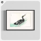 アートポスター-Temminck's Cormorant Illustration
 - 鳥類図鑑 Poster.