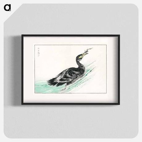 アートポスター-Temminck's Cormorant Illustration
 - 鳥類図鑑 Poster.