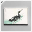 アートパネル-Temminck's Cormorant Illustration
 - 鳥類図鑑 Canvas.