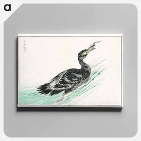 アートパネル-Temminck's Cormorant Illustration
 - 鳥類図鑑 Canvas.