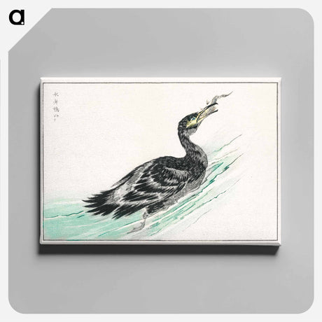アートパネル-Temminck's Cormorant Illustration
 - 鳥類図鑑 Canvas.