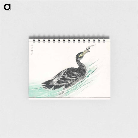 アートメモ帳-Temminck's Cormorant Illustration
 - 鳥類図鑑 Memo.