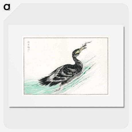 アートポスター-Temminck's Cormorant Illustration
 - 鳥類図鑑 Poster.
