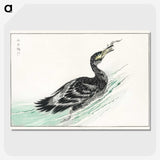 2-3_Pictorial-Monograph-of-Birds_picture-crop