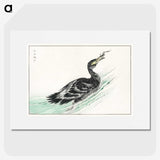 2-3_Pictorial-Monograph-of-Birds_picture