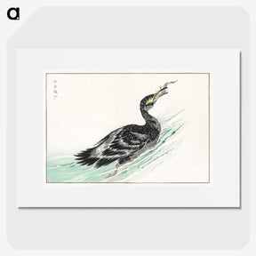2-3_Pictorial-Monograph-of-Birds_picture