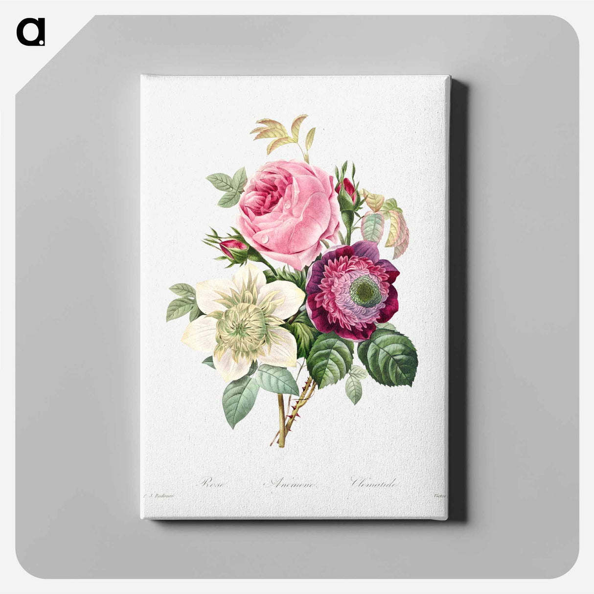 アートパネル-Anemone and cabbage rose - ピエール ジョゼフ ルドゥーテ Canvas.