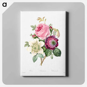 アートパネル-Anemone and cabbage rose - ピエール ジョゼフ ルドゥーテ Canvas.