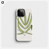 2-3_Plants-with-Colored-Foliage_phone