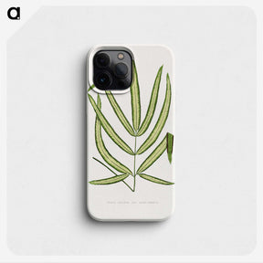2-3_Plants-with-Colored-Foliage_phone