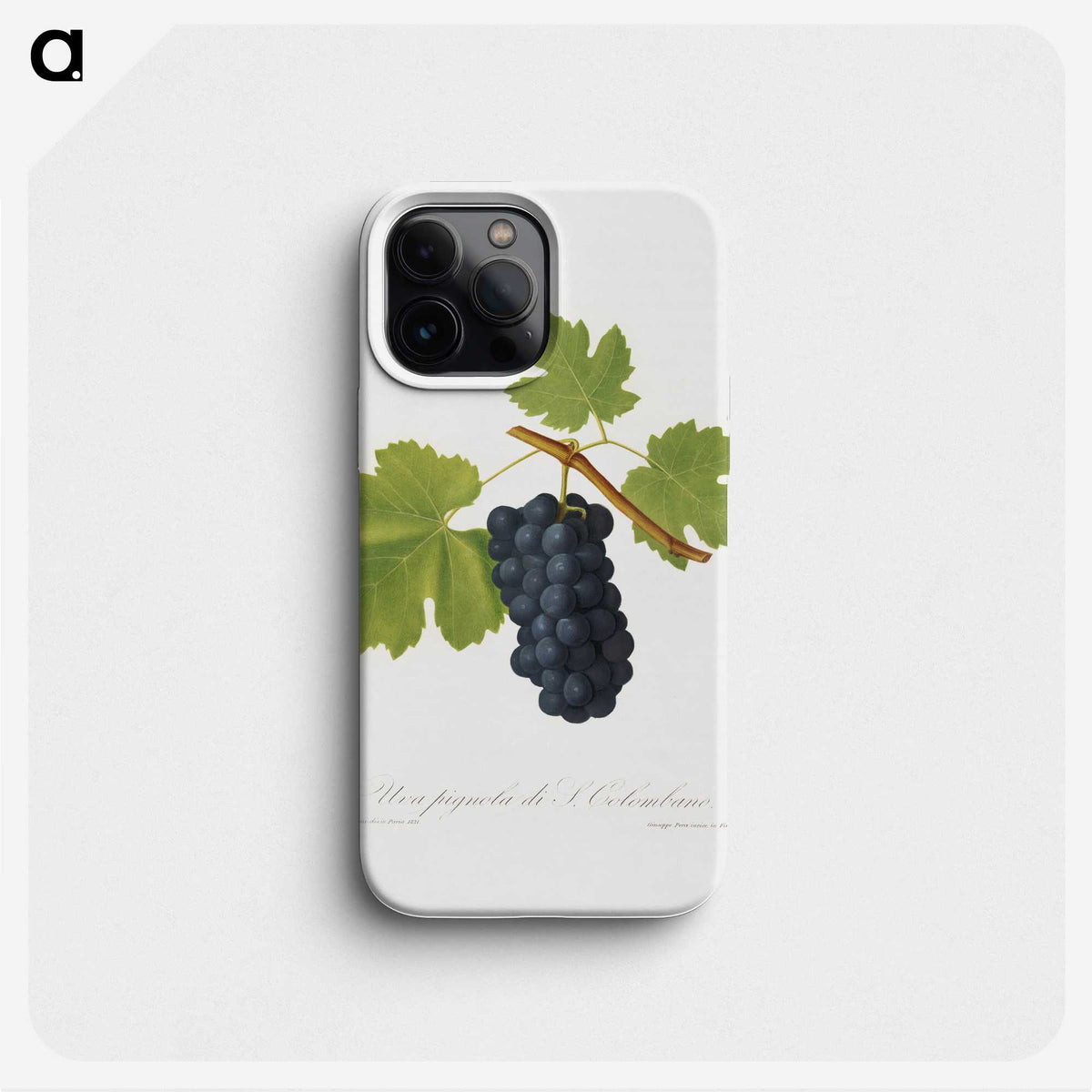 2-3_Pomona-Italiana_phone